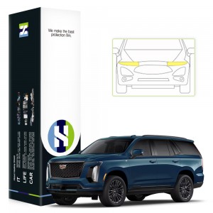 ��ǰ ������