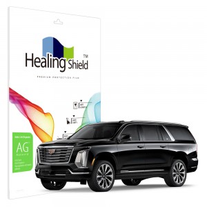 ��ǰ ������